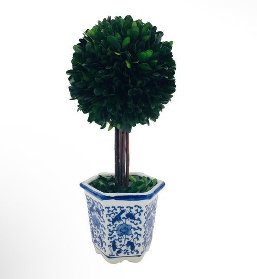 Boxwood Ball Topiary Tree in Blue & White Ceramic Pot Decor