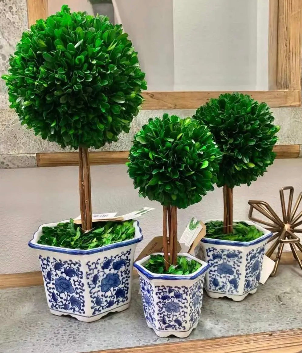 Boxwood Ball Topiary Tree in Blue & White Ceramic Pot Decor